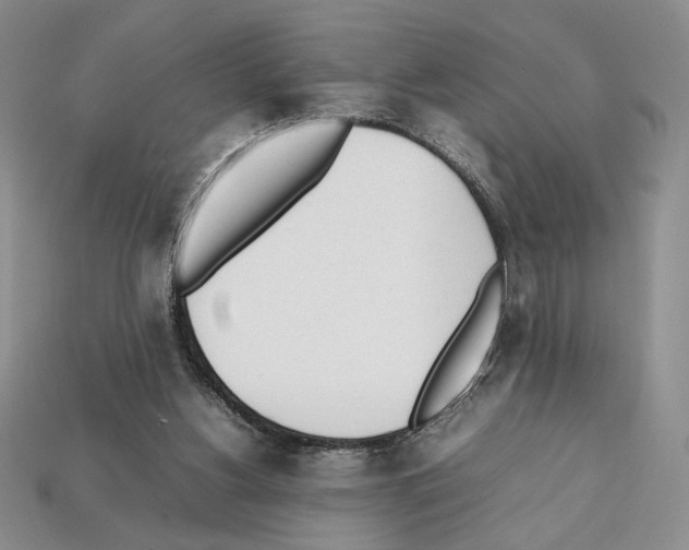 X0000112040156200909141124