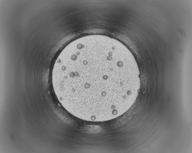 X0000112040159200909141124