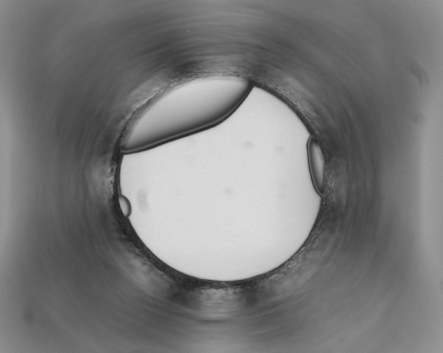 X0000112040160200909141124