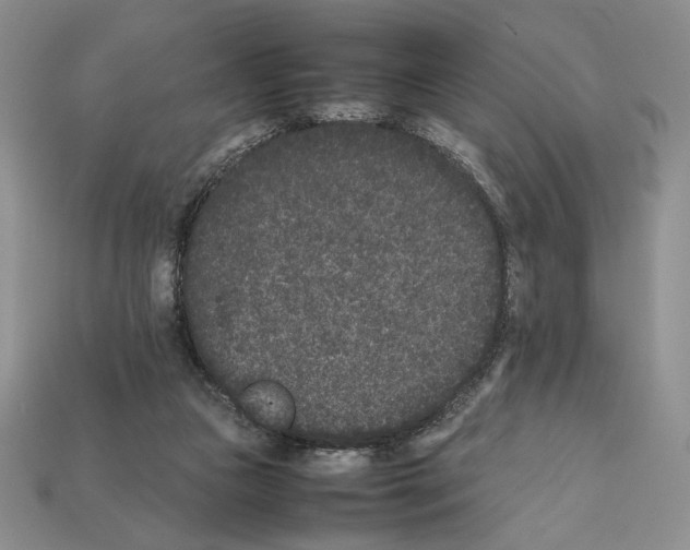 X0000112040161200909141124