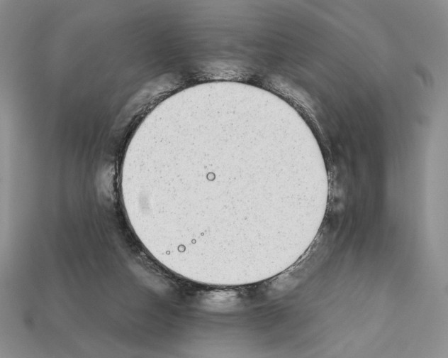 X0000112040162200909141124