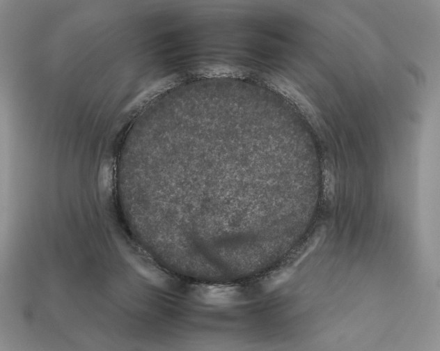 X0000112040165200909141124