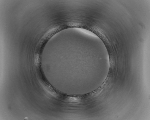 X0000112040167200909141124