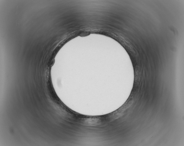 X0000112040168200909141124