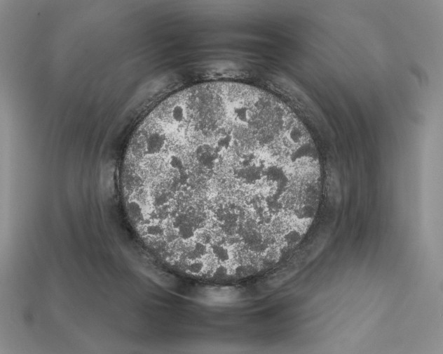 X0000112040169200909141124