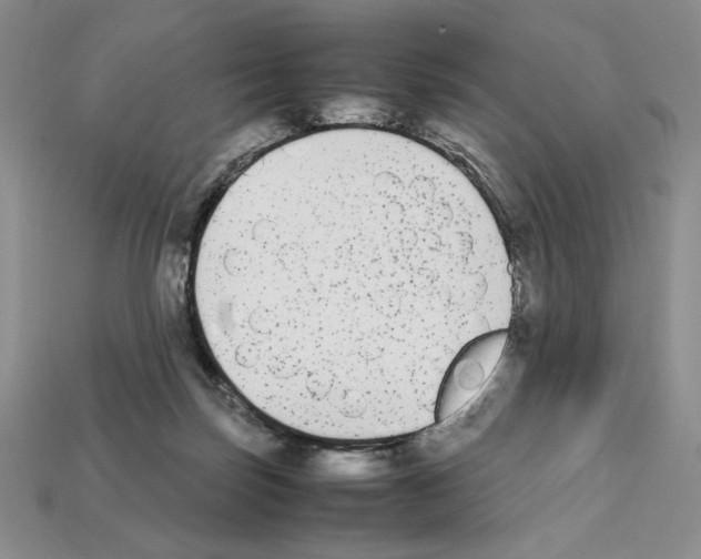 X0000112040171200909141124