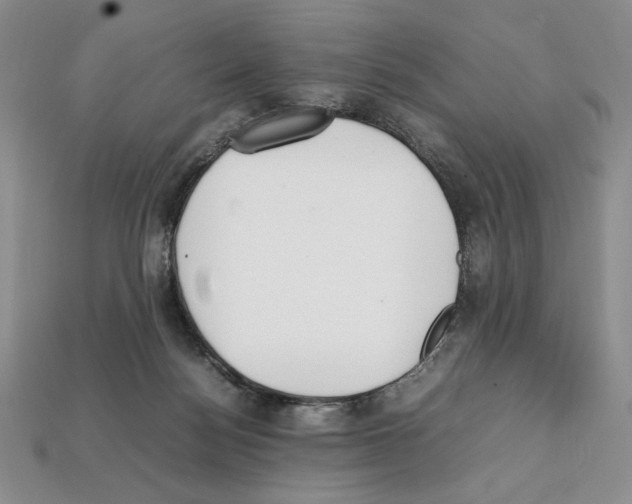 X0000112040172200909141124