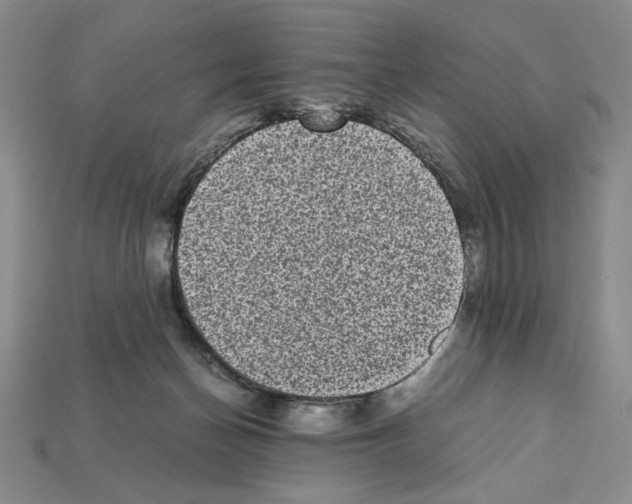 X0000112040174200909141124