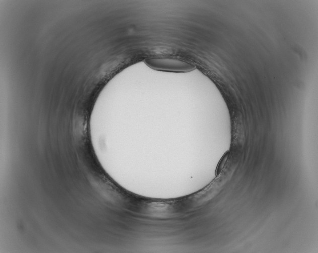 X0000112040176200909141124