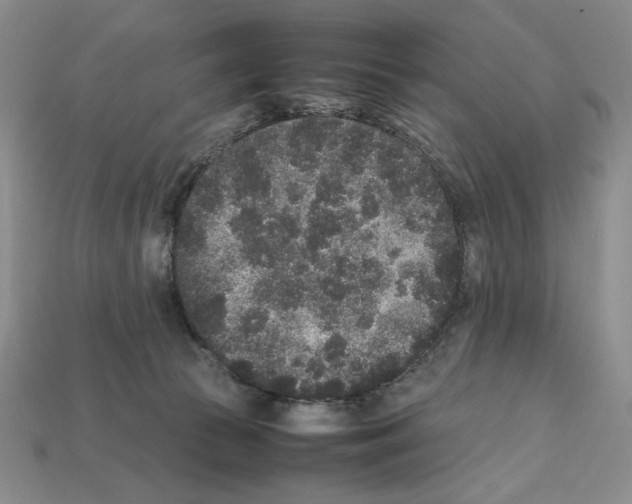 X0000112040177200909141124