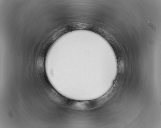 X0000112040178200909141124