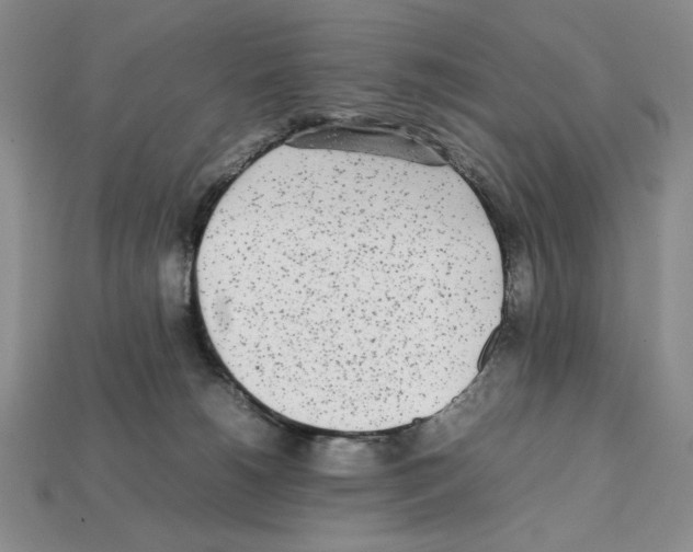 X0000112040180200909141124