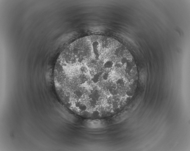 X0000112040181200909141124