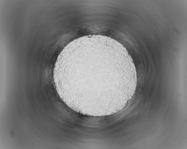 X0000112040182200909141124
