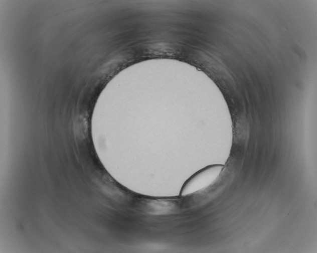 X0000112040183200909141124