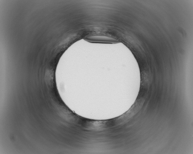 X0000112040184200909141124