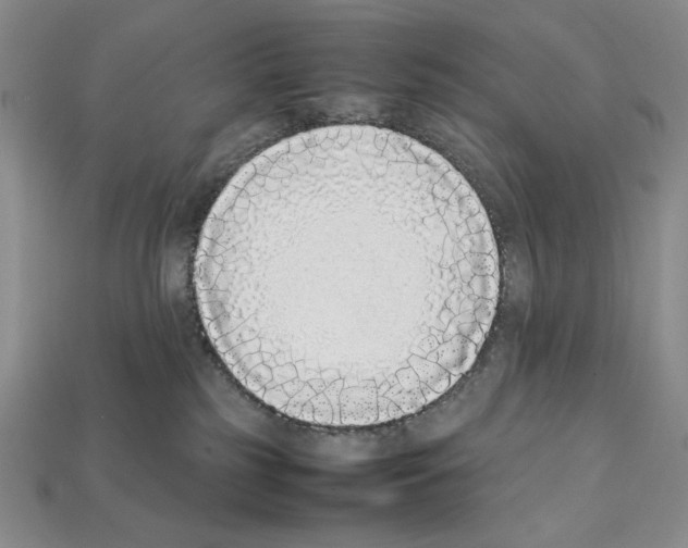 X0000112040185200909141124