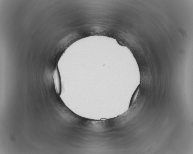X0000112040188200909141125