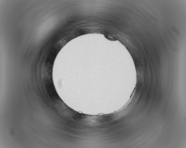X0000112040190200909141125