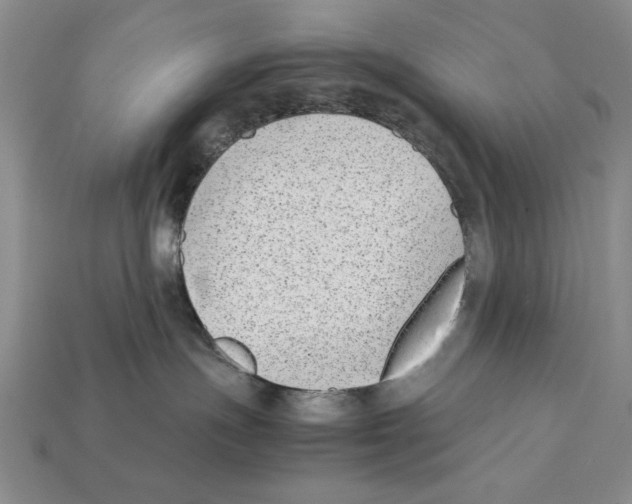 X0000112040191200909141125