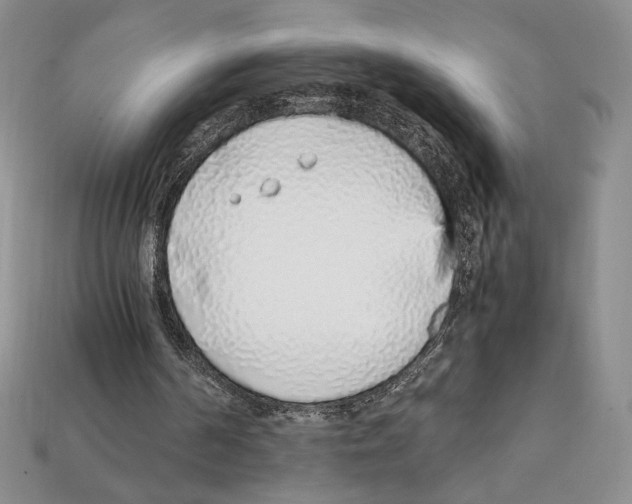 X0000112040194200909141124