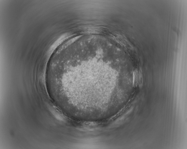 X0000112040195200909141124