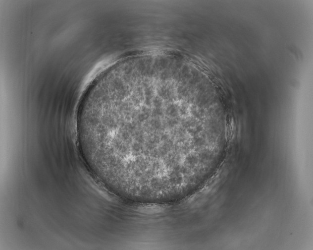 X0000112040198200909141124