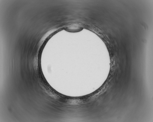 X0000112040200200909141124