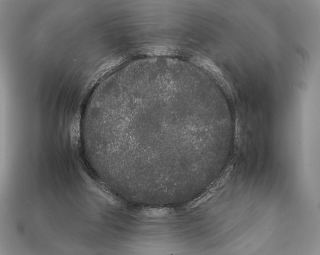 X0000112040202200909141124