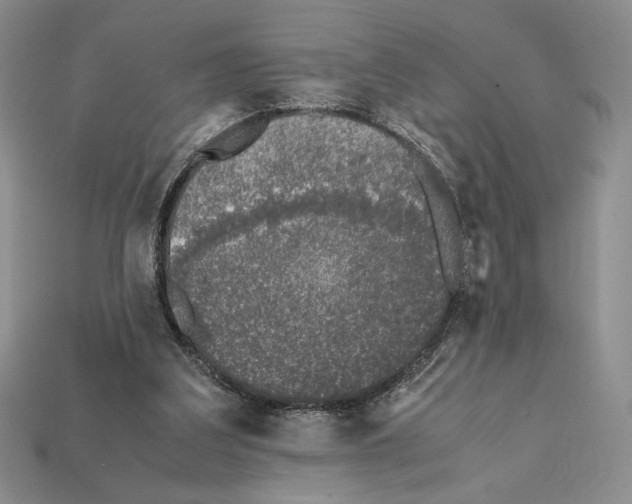X0000112040203200909141124