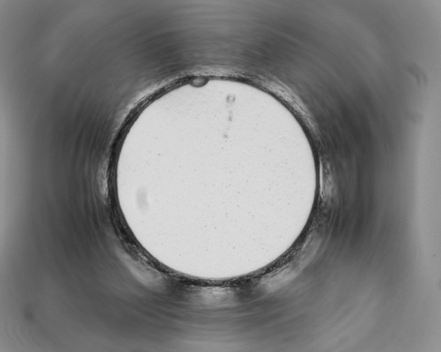X0000112040204200909141124