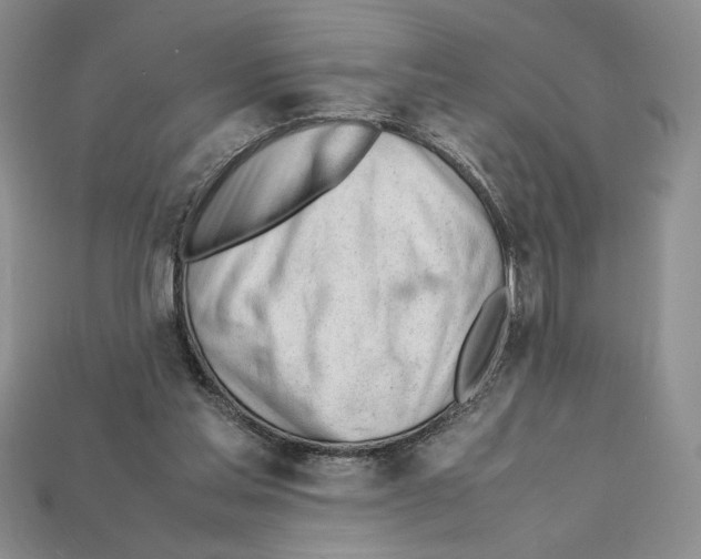 X0000112040205200909141124
