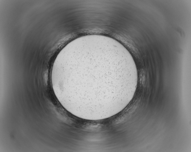 X0000112040206200909141124