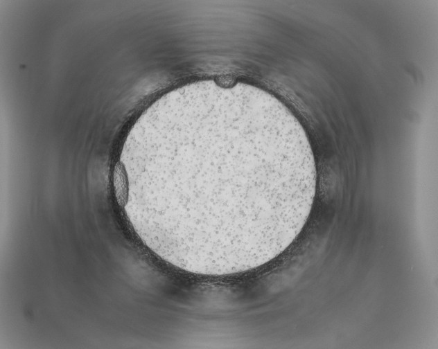X0000112040207200909141124