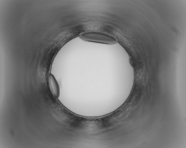 X0000112040209200909141124