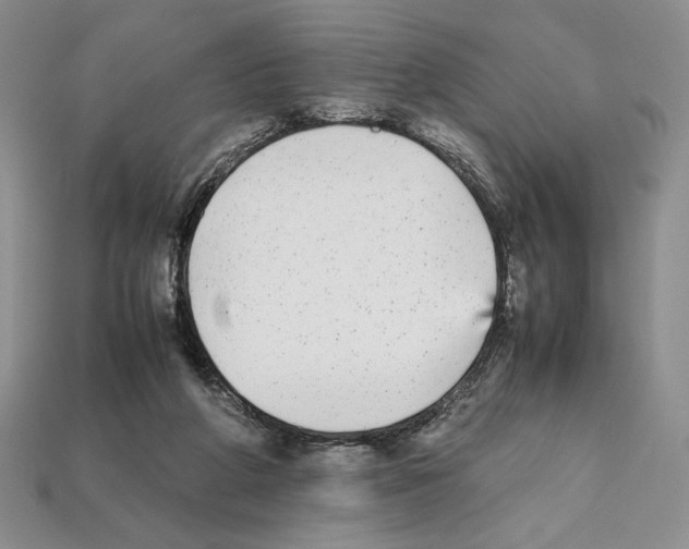 X0000112040210200909141124