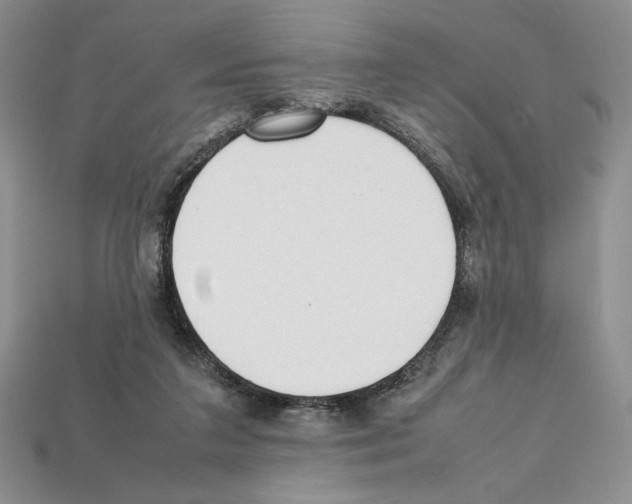 X0000112040211200909141124