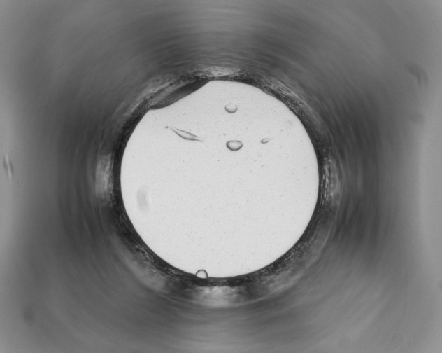 X0000112040212200909141124