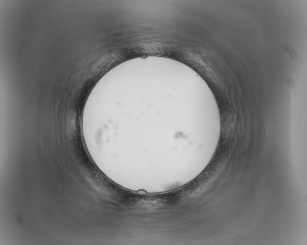 X0000112040213200909141124
