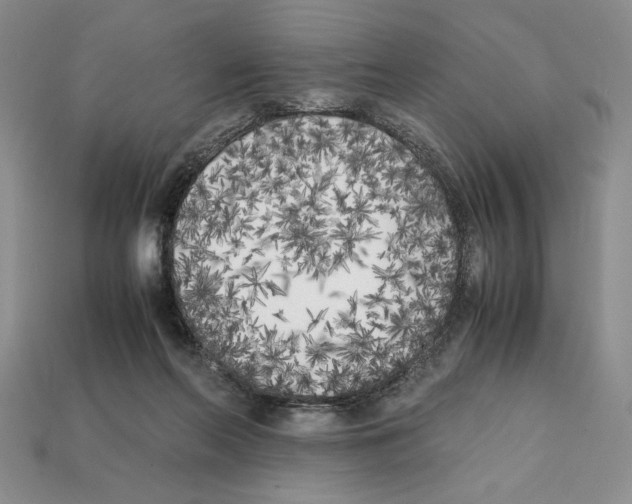 X0000112040214200909141124