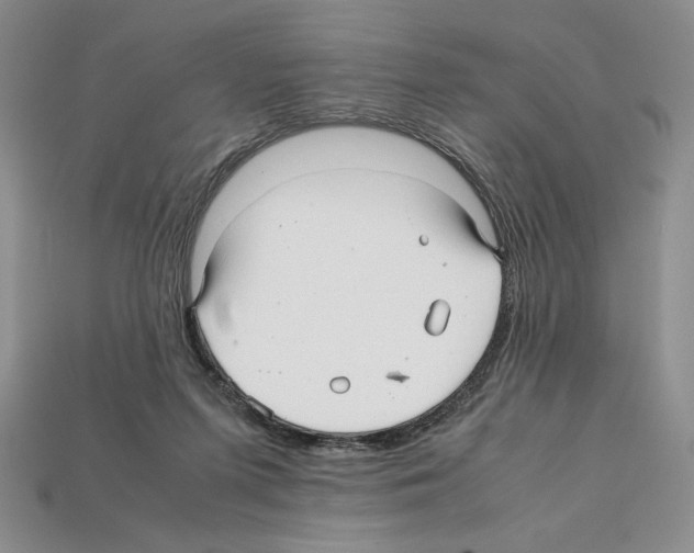 X0000112040215200909141124