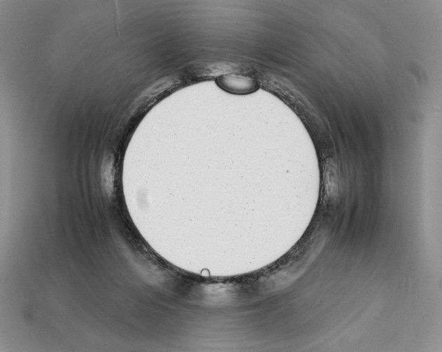 X0000112040216200909141124