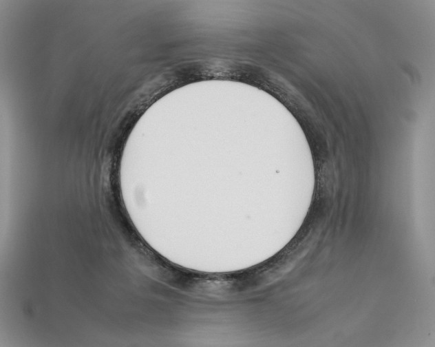 X0000112040217200909141124