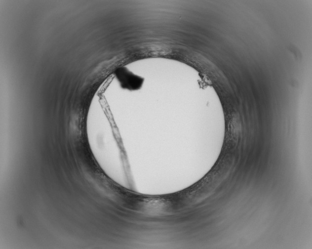 X0000112040218200909141124