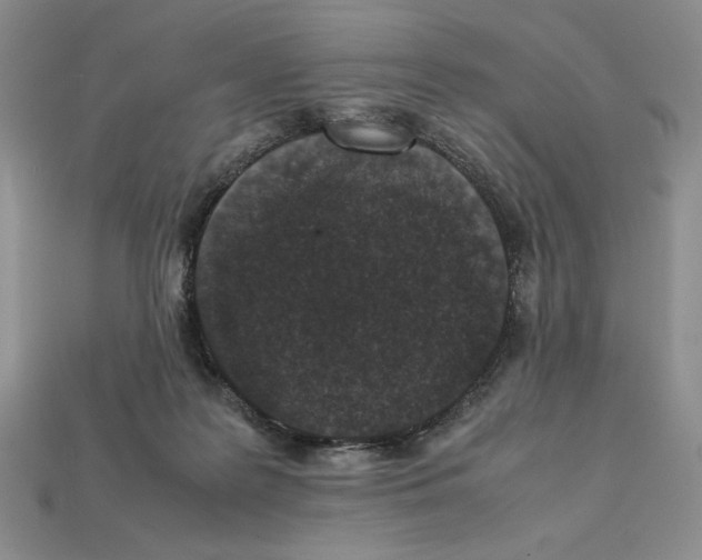 X0000112040219200909141124