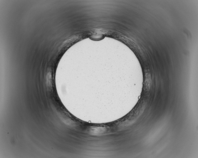 X0000112040220200909141124