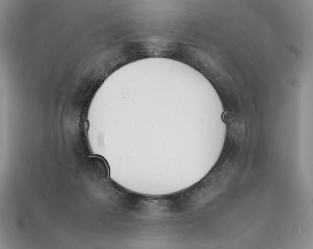 X0000112040221200909141124