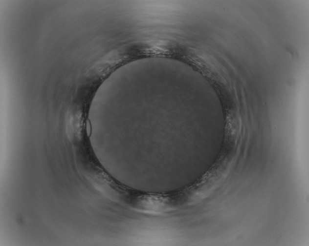 X0000112040223200909141124