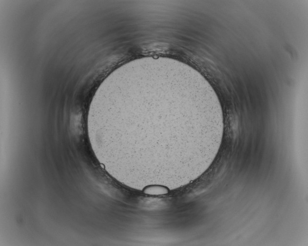 X0000112040224200909141124