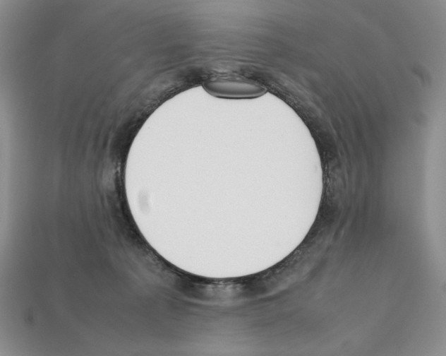 X0000112040225200909141124